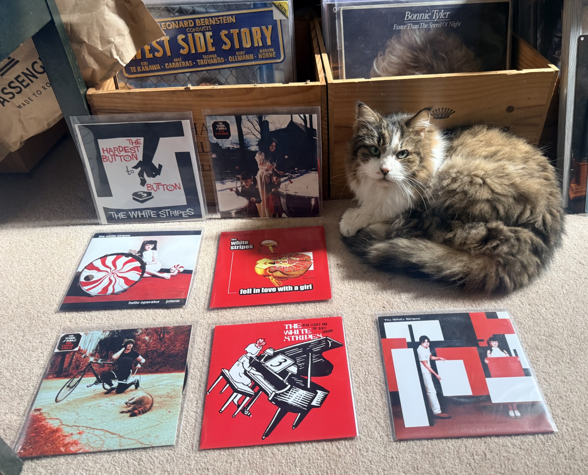 Jack White: A Stripey Lottery